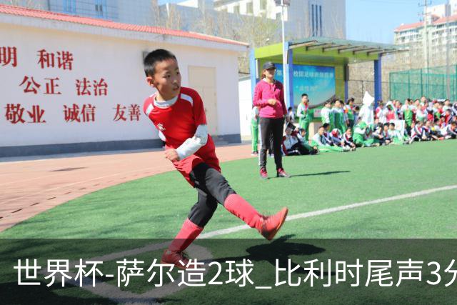 世界杯-萨尔造2球 比利时尾声3分2球2-2塞内加尔进加时