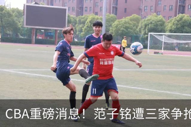 CBA重磅消息！范子铭遭三家争抢 杜锋是心理学博士 刘铮回上海男篮